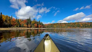 Breathtaking 5-Day Solo Canoe Camping Trip in Algonquin Park