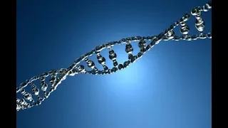Следы ДНК