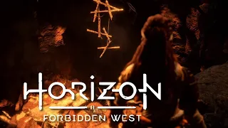 ЛАГЕРЬ МЯТЕЖНИКОВ  | Horizon 2: Forbidden West | 15