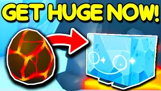 How To Get A HUGE IN ONLY 4 HOURS! (Pet Simulator 99)