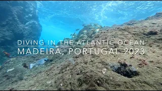 Bubbles and Beyond - 4K - Atlantic Ocean Portugal Madeira - October 2023