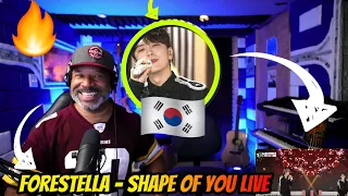Forestella (포레스텔라) - Shape Of You | Show!  - Producer Reaction