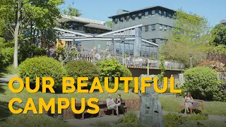 Our beautiful campus – University of Winchester