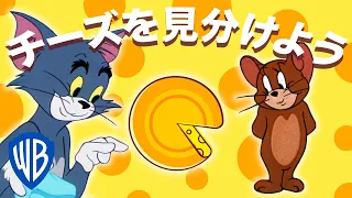 トムとジェリー | チーズ見分けるゲーム 🧀 | WB Kids