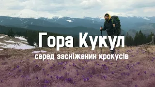 Weekend hike in the Ukrainian Carpathians (Kukul mountain, first person view)