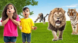 Educational Video for Kids | Big Wild Cats adventure by Atrin and Soren | ZOO Animals for kids