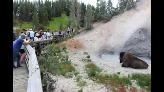 2023 Yellowstone National Park trip