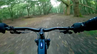 MTB Epping forest