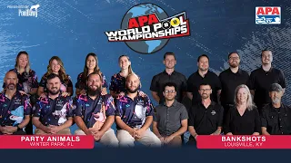 2023 APA 8-Ball World Championship Final