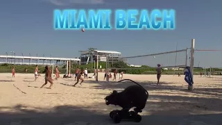 Miami Beach Spring Break Rat Hidden Camera Practical Joke