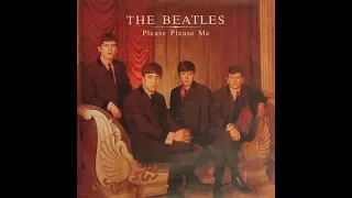 IDK - The Beatles - Please Please Me(cover)