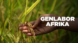 Genlabor Afrika - Die Geschäfte des Bill Gates / ARTE Doku vom 21.6.2022