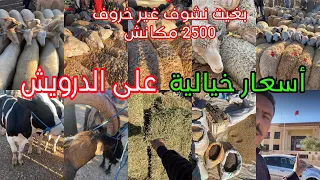 اليوم من سوق بني وكيل إسلي وجدة 15 ماي 2024 الحولي البلاد غالي على الدراوش ماتلقاهش 2500 dh صغير