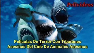 Peliculas De Terror De Tiburones Asesinos | Pelivideos Oficial