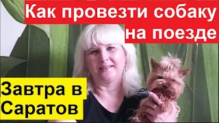 ПРАВИЛА ПЕРЕВОЗКИ СОБАК НА ПОЕЗДЕ. ПО ЗАПРОСУ ЗРИТЕЛЬНИЦЫ.