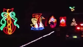 12 Days of Christmas at Lights under Louisville