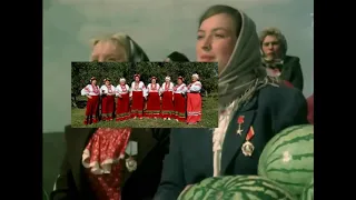 Кубанские казаки