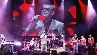 Madness - It must be Love,  Dublin 3 Arena, 6th  August 2022