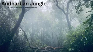 Andharban Jungle - The Dark Forest of Maharashtra | Andharban trek in Monsoon | Andharban Waterfall