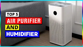 Best Air Purifier And Humidifier in 2024