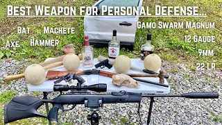 Gamo Swarm Magnum vs 22LR vs Machete vs 9mm vs Bat...Best for home defense?