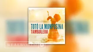 Totó La Momposina - El Pescador