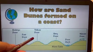 Formation of sand dunes- Coasts