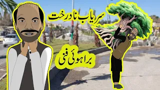 Brahui Funny Mama Bangul Cartoon Sariab na Darakth