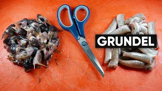 Grundel | Filetieren XXL | Fisch und Grips