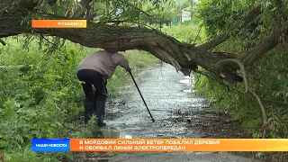 В Мордовии сильный ветер повалил деревья и оборвал линии электропередач