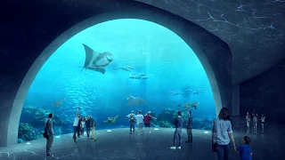 The Aquarium - Architectural Thesis