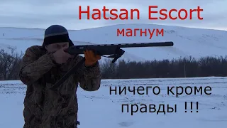 Hatsan Escort Magnum -  ничего кроме правды!