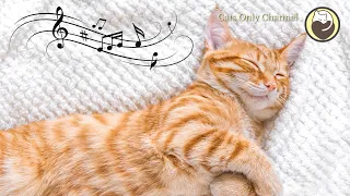 Calming Cat Music with Water Sounds - Sleep Music, Relaxing Music, Peaceful Music