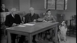 Lassie - Episode 46 -  "The Trial" - Season 2, #20  (01/22/1956)