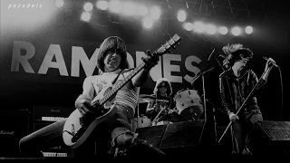 Ramones - Bonzo goes to bitburg「  Español 」