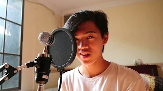 Little Things - One Direction | Cover by James Vincent