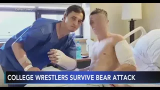 BEAR ATTACK: College wrestlers ambushed in gruesome grizzly bear attack while hunting