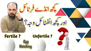 کچھ انڈے فرٹائل اور کچھ انڈے انفرٹائل کیوں? | Birds | Love birds | infertile egg | Welcome Aviary