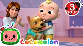 Learning to Take Care of Pets | Cocomelon - Nursery Rhymes | Fun Cartoons For Kids | Moonbug Kids