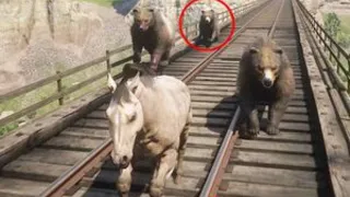 Bears Attack Horses | Find Horse is alive or not ?
