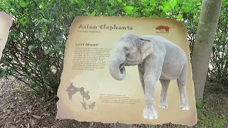 Louisville Zoo Full Tour 2022