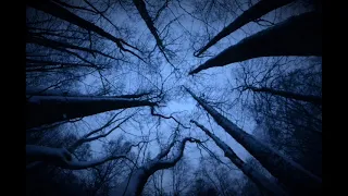 [Free] "Темный лес" атмосферный бит в стиле  suicideboys | xxxtentacion