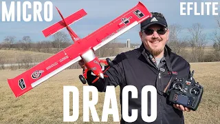 Eflite - Micro DRACO - 800mm - Maiden Flight + Unbox, Build, Radio Setup