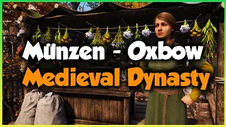 SO verdienst du dir Münzen in Oxbow 🌱 MEDIEVAL DYNASTY 🌱 GUIDE