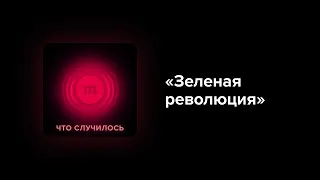 Весь мир внедряет «зеленые» технологии, а Россия медлит. Почему?