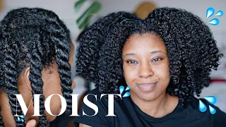 Moisturise DRY Natural Hair In 4 Easy Steps 🔢| Detailed w/Product Recommendations