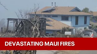 At least 36 killed on Maui as fires burn through Hawaii