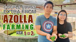 AMAZING AZOLLA FARMING | MAY PERA SA AZOLLA: MAG-ASAWA, KUMIKITA NG EXTRA 5K SA PAG-AALAGA NG AZOLLA