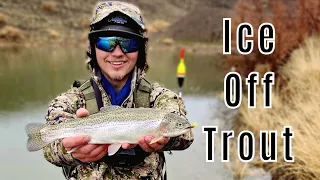 Utah Early Ice Off Trout Fishing 2023 - Utah Fishing 2023