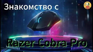 Знакомство с Razer Cobra Pro: Компактная игровая мышь, которая наносит мощный удар